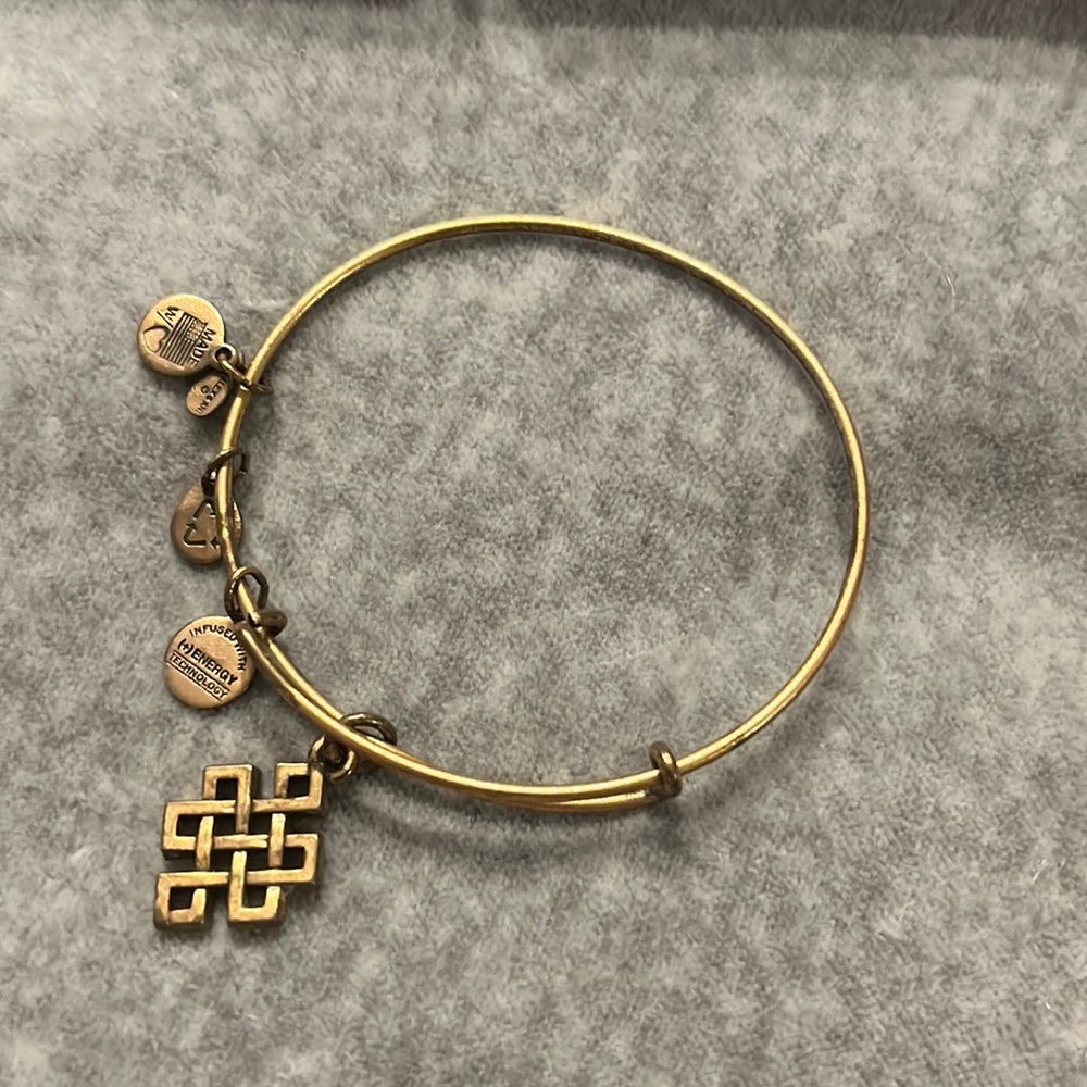 Alex and Ani Endless Knot Charm Bangle